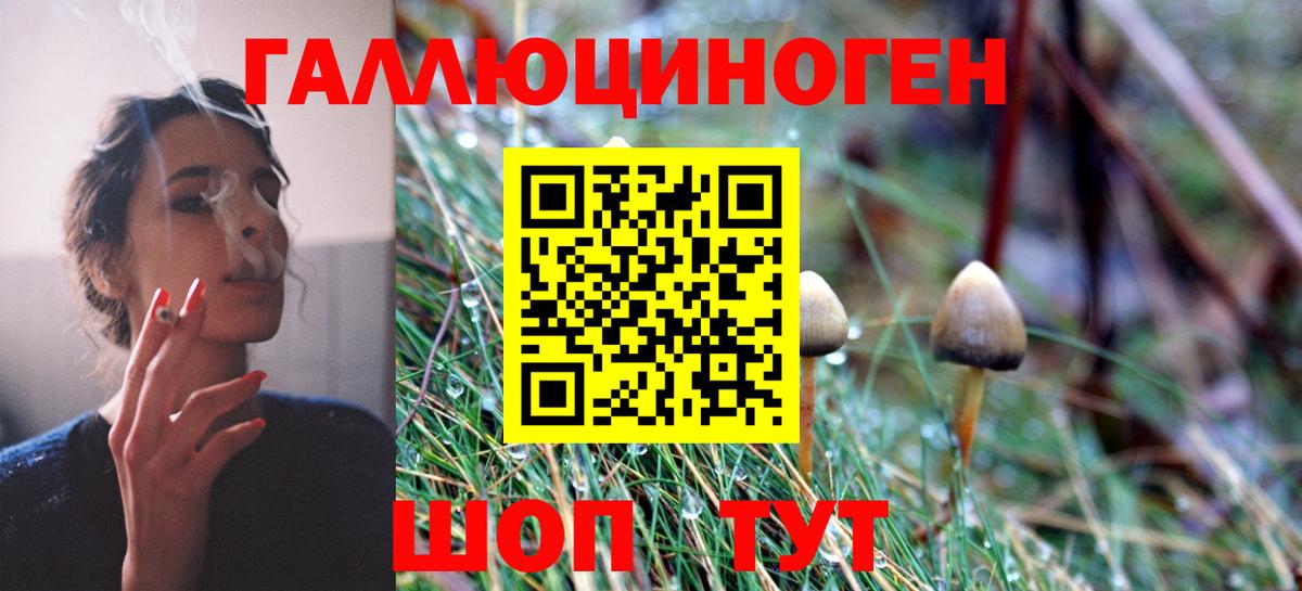 Гусев  Псилоцибиновые грибы прущие грибы  Вход с VPN  Галлюциногенные грибы ЛСД 